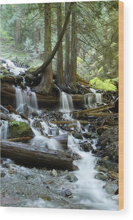 Bridal Falls Wood Print featuring the photograph Stream Below Bridal Veil Falls in Bridal Veil Falls Provincial P by Rob Huntley