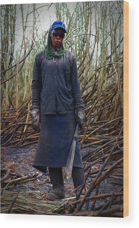 Brazil Wood Print featuring the photograph Sugarcane Slash by Henry Kowalski