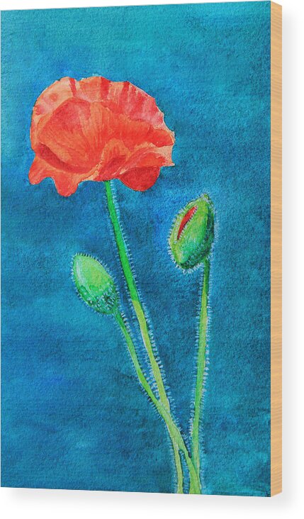 Flower Wood Print featuring the painting Summer Poppy by Masha Batkova