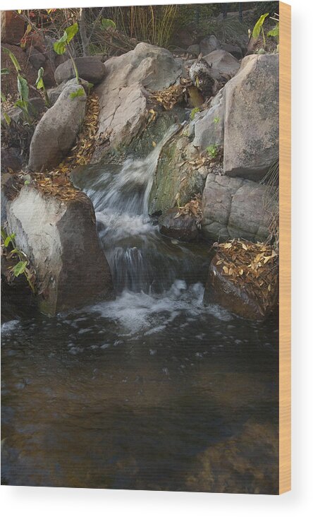 Waterfall Photography Wood Print featuring the photograph Sunday in the Park by Greg Kopriva