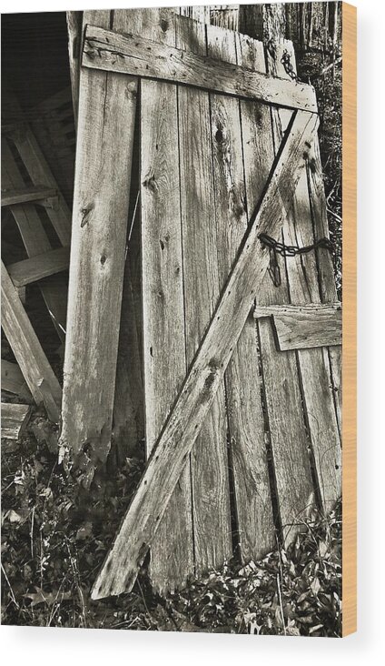 Sunlit Barn Door Wood Print featuring the photograph Sunlit Barn Door by Greg Jackson