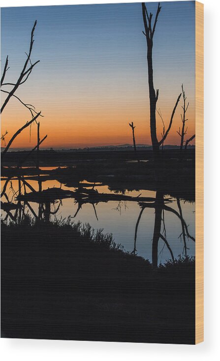 Bolsa Chica Wood Print featuring the photograph Sunrise Across the Sacred Land by Denise Dube