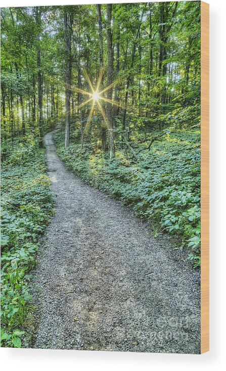 Sleeping Bear Wood Print featuring the photograph Sunrise on the Trail by Twenty Two North Photography