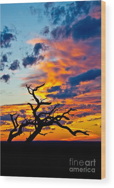 Michael Tidwell Photography Wood Print featuring the photograph Sunset at Enchanted Rock by Michael Tidwell