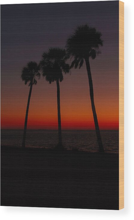 Florida Wood Print featuring the photograph Sunset Beach Silhouette by Jerry Nettik