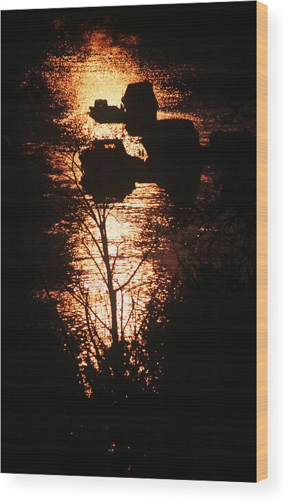 Boats Wood Print featuring the photograph Sunset Boats by John Topman