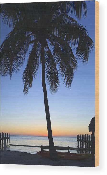 Bayshore Wood Print featuring the photograph Sunset Palm by Raul Rodriguez