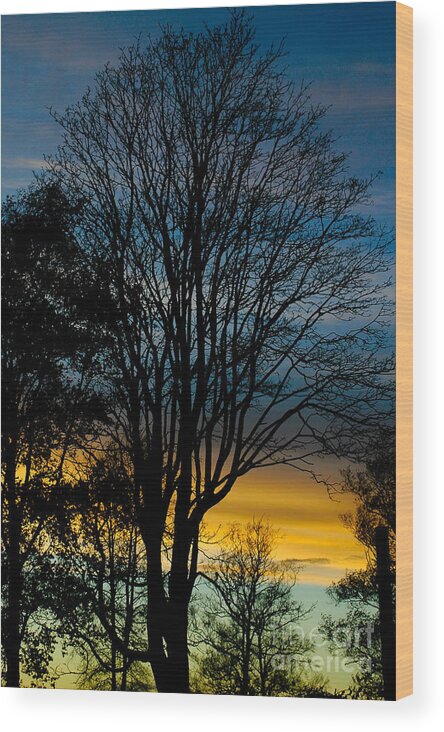 Clouds Wood Print featuring the photograph Sunset Silhouette by Venetta Archer