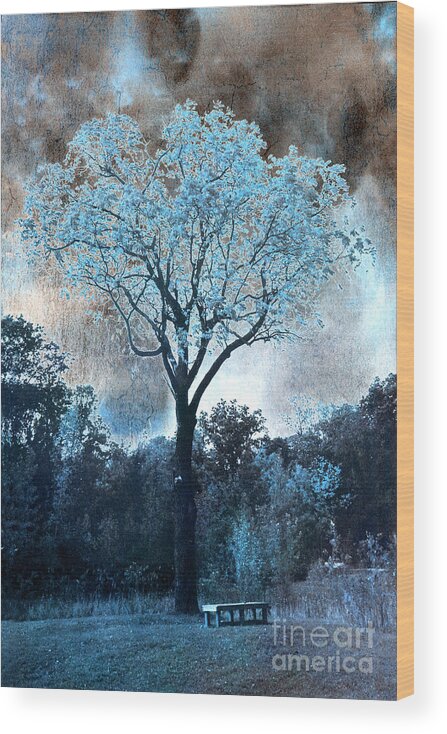 Blue Nature Photos Wood Print featuring the photograph Surreal Fantasy Dreamy Blue Fairytale Tree Nature Landscape - Surreal Solarized Blue Trees by Kathy Fornal