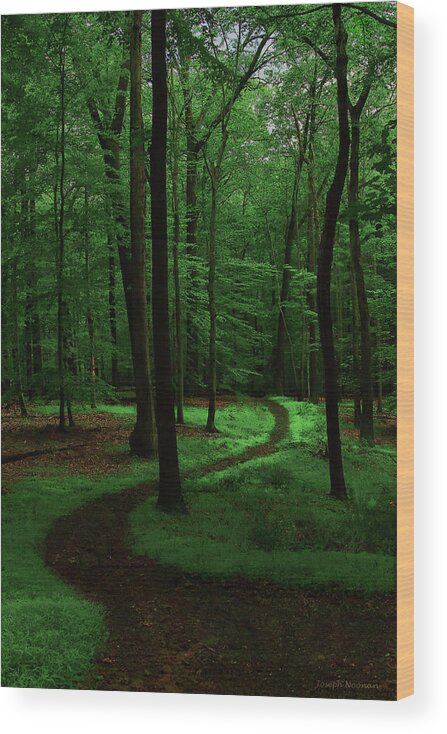 Forest Wood Print featuring the photograph Take A Hike by Joseph Noonan
