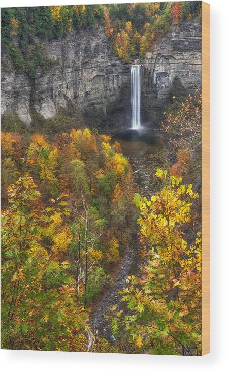 Taughannock Falls Wood Print featuring the photograph Taughannock Fall 2 by Mark Papke