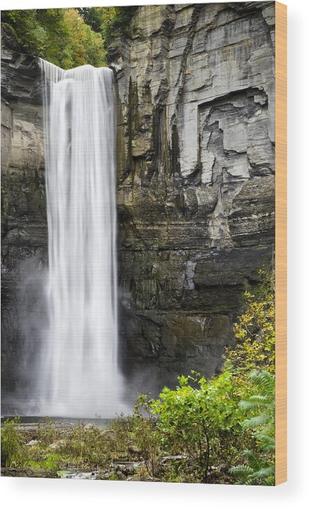 Waterfall Wood Print featuring the photograph Taughannock Falls View From The Bottom by Christina Rollo