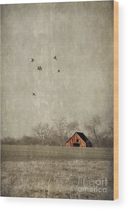 Texas Wood Print featuring the photograph Texas landscape by Elena Nosyreva