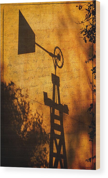 Texas Wood Print featuring the photograph Texas Shadows by Ken Stanback