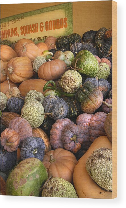 Pumpkins Wood Print featuring the photograph Texas Grown by Greg Kopriva