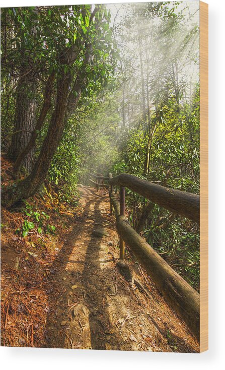 Appalachia Wood Print featuring the photograph The Benton Trail by Debra and Dave Vanderlaan