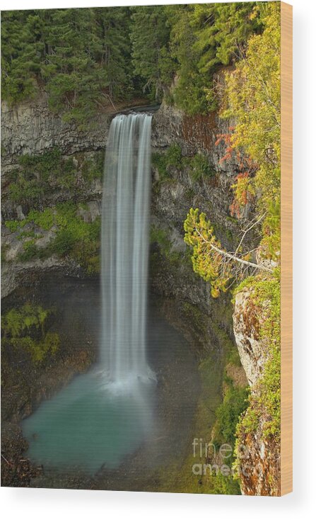 Brandywine Falls Wood Print featuring the photograph The Brandywine Plunge by Adam Jewell