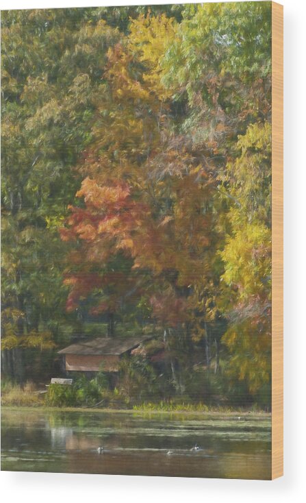 Weston Wood Print featuring the photograph The Cabin at Cherry Brook by Jean-Pierre Ducondi