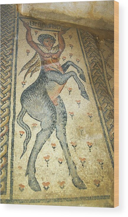 Archaeology Wood Print featuring the photograph The Centaur Mosaic by Photostock-israel