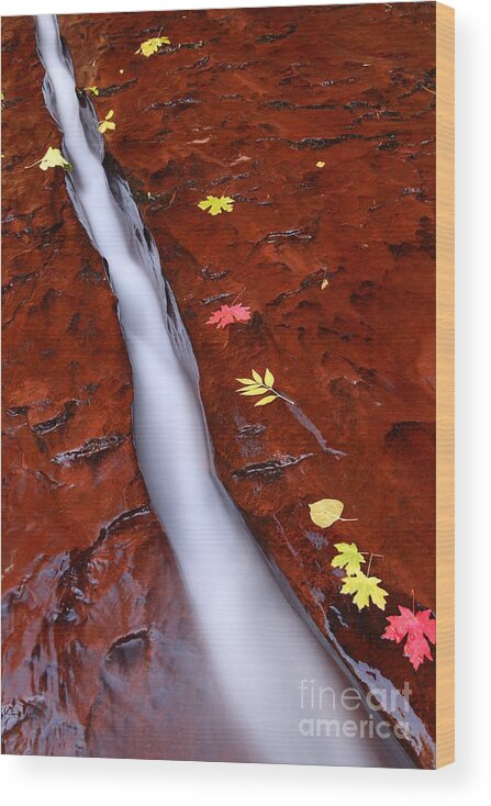Chute Wood Print featuring the photograph The Chute by Bill Singleton