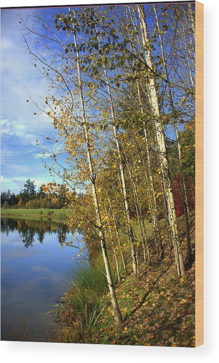Fall Wood Print featuring the photograph The End of the Season by Jerry Cahill