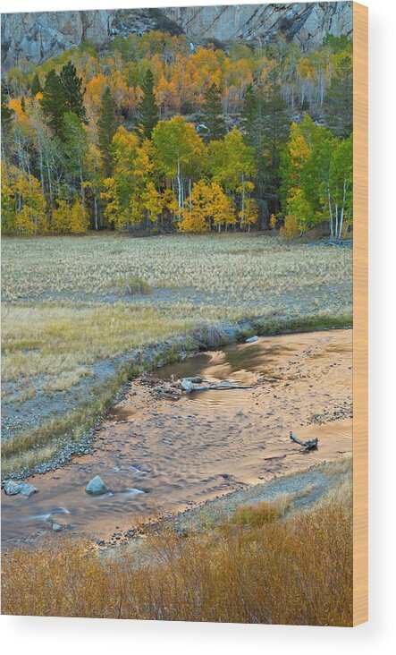 Landscape Wood Print featuring the photograph The Golden Stream by Jonathan Nguyen