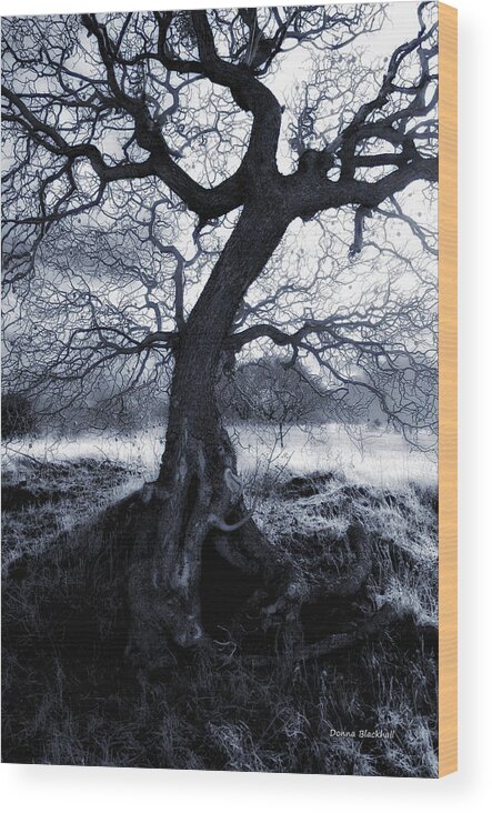 Spook Wood Print featuring the photograph The Horseman Rides Tonight by Donna Blackhall
