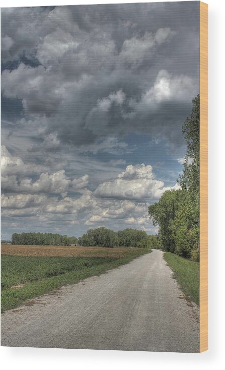 Katy Trail Wood Print featuring the photograph The Katy Trail by Jane Linders