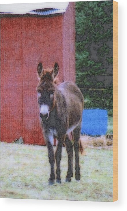 Nature Wood Print featuring the photograph The Lonely Donkey by Kay Novy