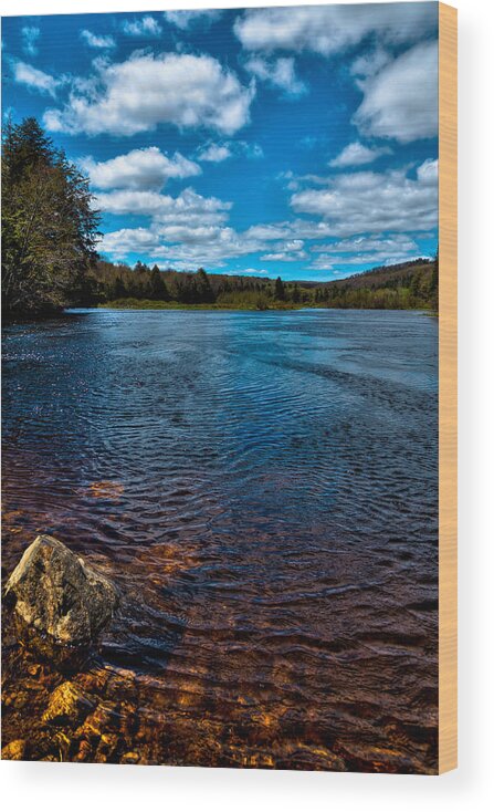 The Green Bridge Wood Print featuring the photograph The Moose River in the Spring by David Patterson