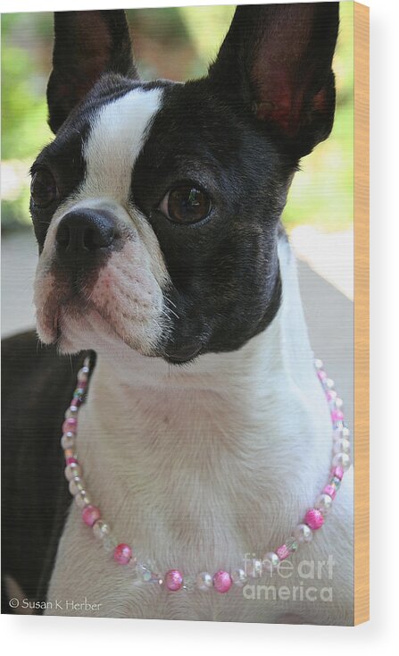 Animal Wood Print featuring the photograph The Pink Pearl Necklace by Susan Herber