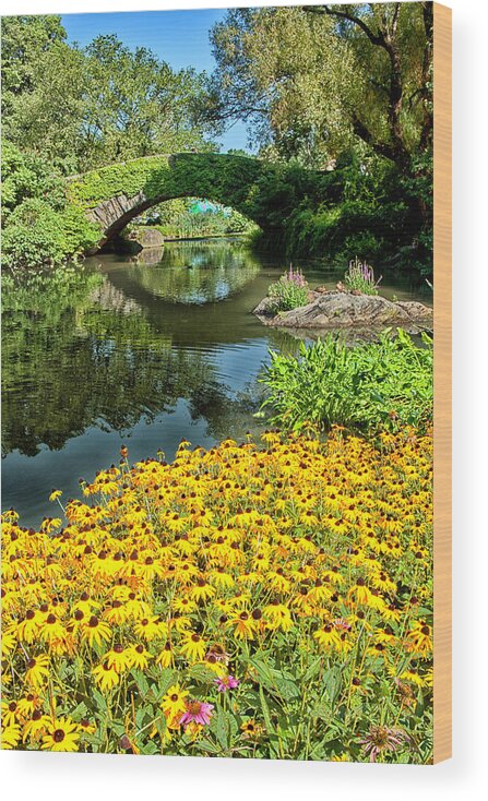 Pond Wood Print featuring the photograph The Pond by Karol Livote