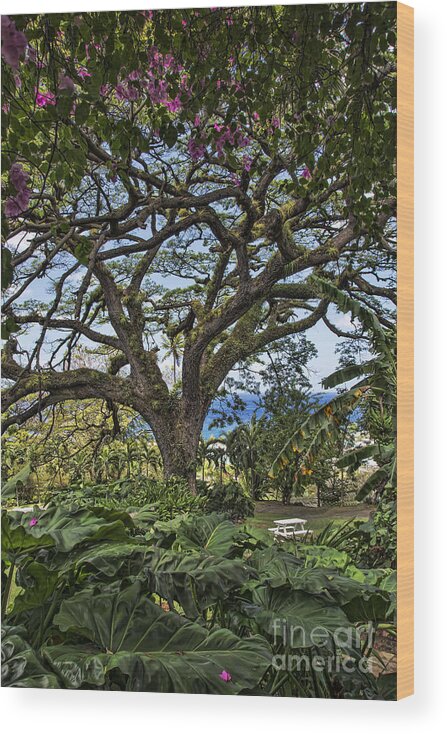 Ken Johnson Imagery Wood Print featuring the photograph The Pride of St. Kitts by Ken Johnson