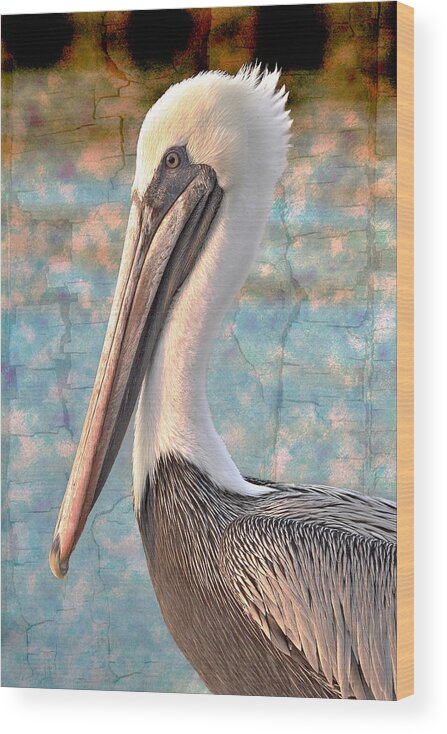 Pelican Wood Print featuring the photograph The Prince by Debra and Dave Vanderlaan