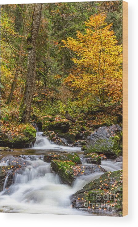 Ravenna-gorge Wood Print featuring the photograph Cascades and Waterfalls #8 by Bernd Laeschke