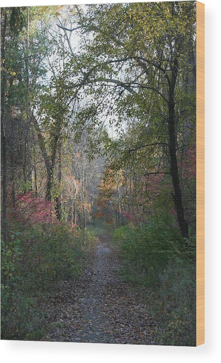 Autumn Wood Print featuring the photograph The Road Ahead No.2 by Neal Eslinger