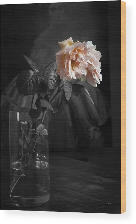 Abraham Darby Rose Wood Print featuring the photograph The Rose Grew Pale And Left Her Cheek by Theresa Tahara