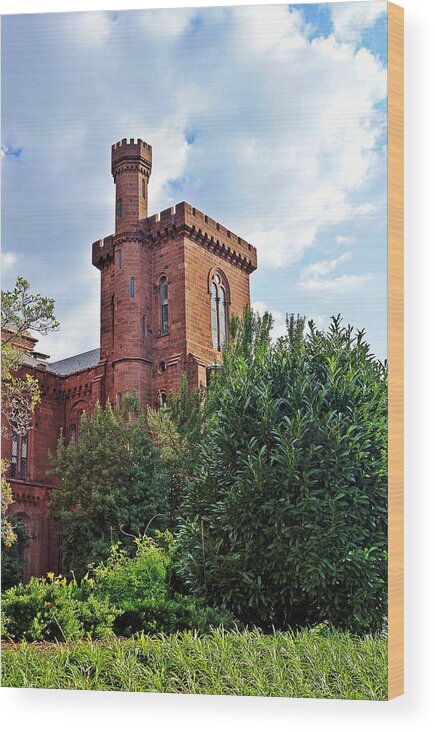 Smithsonian Castle Wood Print featuring the photograph The Smithsonian Castle by Jean Goodwin Brooks