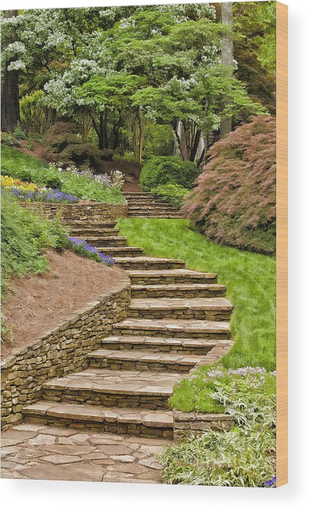 Steps Wood Print featuring the photograph The Walk Up by Linda Blair