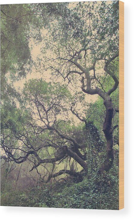 Lake Temescal Wood Print featuring the photograph These Hands by Laurie Search