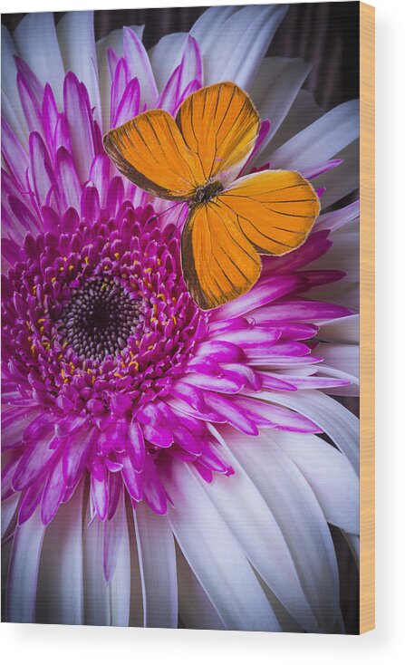 Pink Wood Print featuring the photograph Things Pink and Orange by Garry Gay
