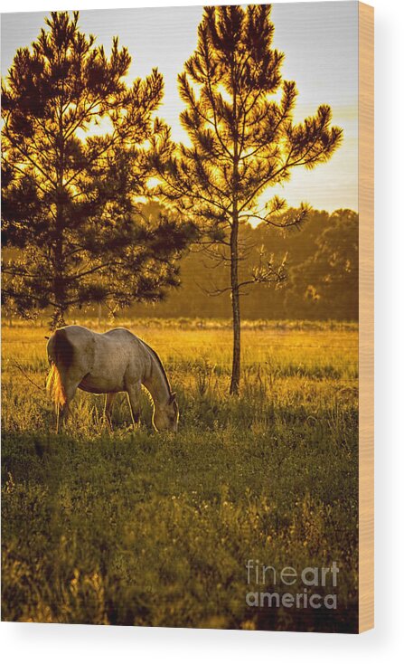 Farmland Wood Print featuring the photograph This Old Friend by Marvin Spates