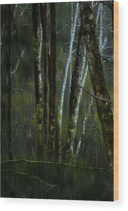 Woods Wood Print featuring the photograph Through a Glass . . . Darkly by Belinda Greb
