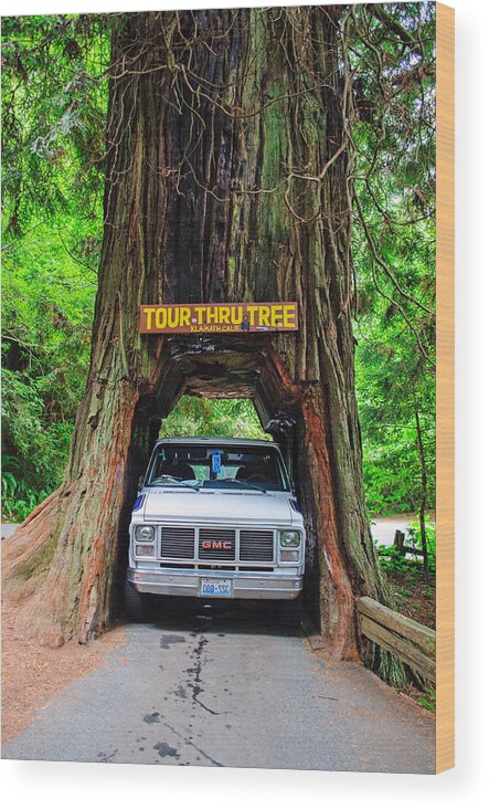 Tour Thru Tree Wood Print featuring the photograph Tight Fit by Tikvah's Hope