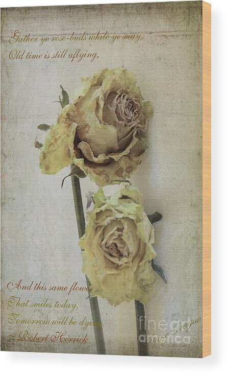 Cards Wood Print featuring the photograph 'Til Death Us Do Part by Elaine Teague