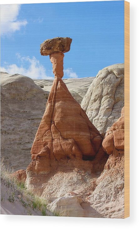 Paria Rimrocks Wood Print featuring the photograph Toadstool Trail 1 by David Beebe