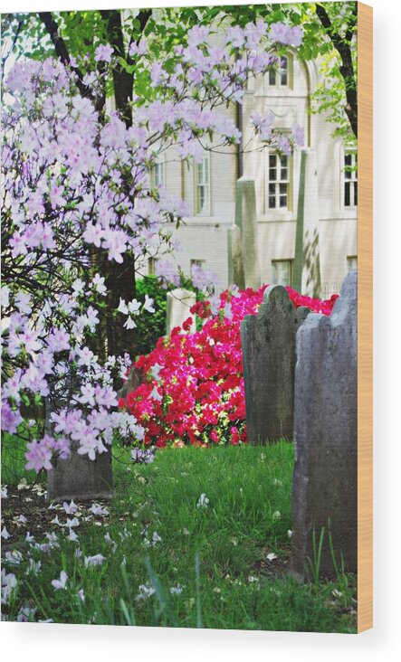 Tombstones Wood Print featuring the photograph Tombstones in Spring by Sharon Popek