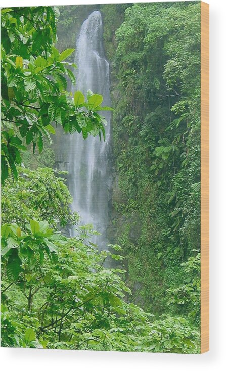 Trafalger Falls Wood Print featuring the photograph Trafalger Falls by Robert Nickologianis