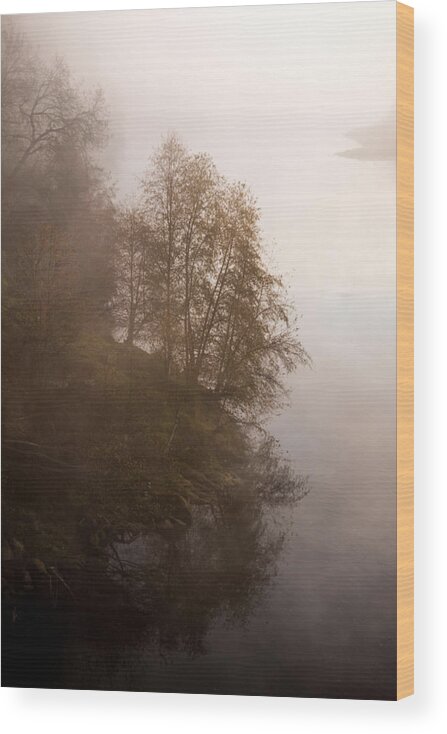 Tree Wood Print featuring the photograph Tree in the Fog by Janet Kopper