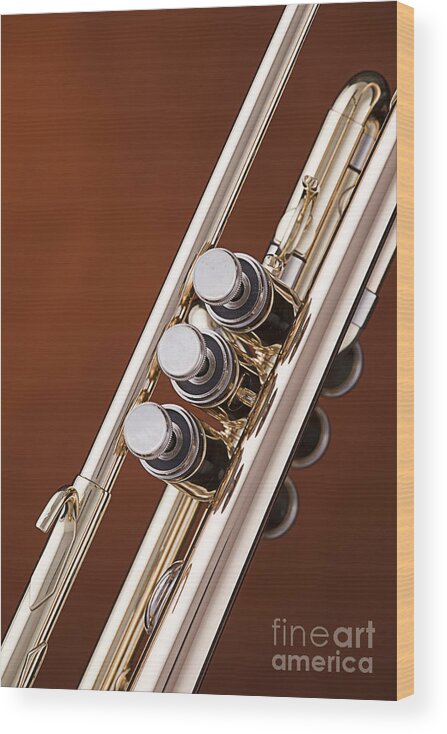 Valves Wood Print featuring the photograph Trumpet or Cornet Valves isolated in Color 3017.02 by M K Miller